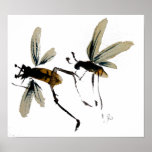 Wasps Posters