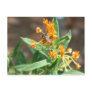 Waspy In Nature Postcard