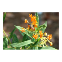 Waspy In Nature Poster posters