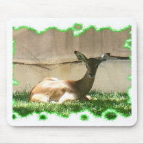 Wassup? mousepads by jdowdell Wassup? mousepads