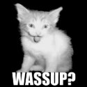 Wassup? t-shirts by chaoticconformity Wassup? t-shirts