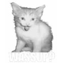 Wassup? t-shirts