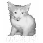 Wassup? t-shirts