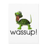 Wassup Turtle Post Card