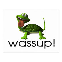 Wassup Turtle Postcards