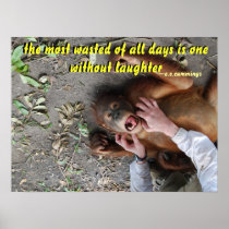Wasted Days v. Laughing Animals Posters