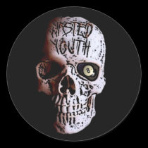WASTED YOUTH SKULL LOGO stickers
