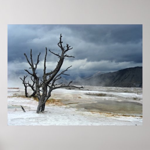 Wasteland Print