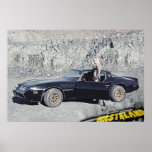 WASTELAND POSTER