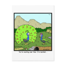 Wasting your time: Peacock Cartoon Postcard