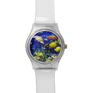 WATCH FISH AQUARIUM