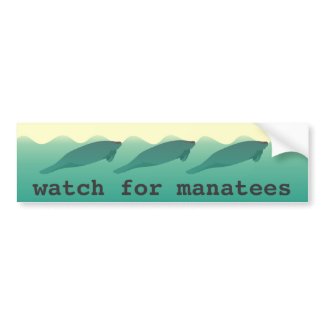 Watch for Manatees bumper sticker zazzle_bumpersticker