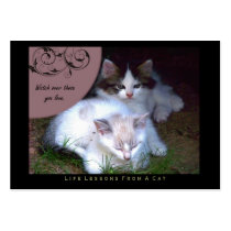 Watch Life Lessons From a Cat ACEO Art Cards Business Card
