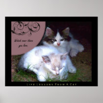 Watch Life Lessons From a Cat Fine Art Print