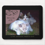 Watch Life Lessons From a Cat Mousepad
