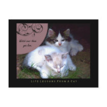 Watch Life Lessons From a Cat Postcard by jaisjewels Watch Life Lessons From a Cat Postcard