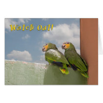 Watch Out Birthday cards