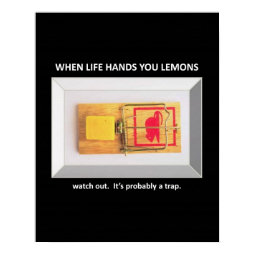 watch-out-its-probably-a-trap print