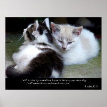 Watch Over You (Cat) Fine Art Print
