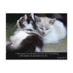 Watch Over You (Cat) Postcard
