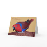 Watch TV Greeting Cards