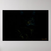Watcher in the shadows posters