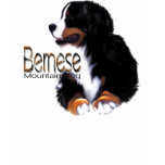 Watchful Berner T-Shirt