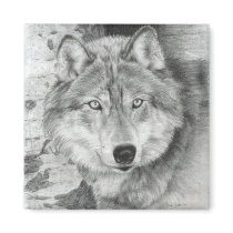 Watchful Eyes Wolf Magnet