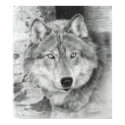 Watchful Eyes wolf poster posters