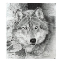 Watchful Eyes wolf poster posters by CarlaKurtArt Watchful Eyes wolf poster posters