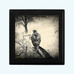 Watchful Hawk gift boxes