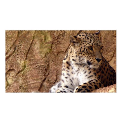 Watchful Leopard Business Card (back side)