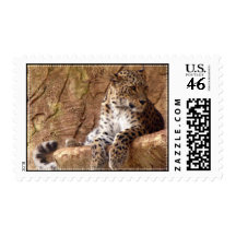 Watchful Leopard Stamp