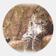 Watchful Leopard Sticker
