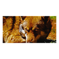 Watchful photo cards