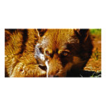 Watchful Photo Card Template