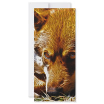 Watchful rack cards by laureenr Watchful rack cards