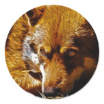 Watchful Round Stickers