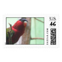 Watching Bird postage by yenfer Watching Bird postage