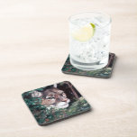 Watching Cougar Beverage Coasters