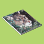 Watching Cougar Memo Note Pads