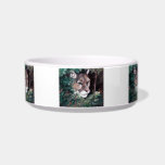 Watching Cougar Pet Bowl Cat Bowl