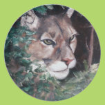 Watching Cougar Party Plates