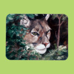 Watching Cougar Magnet