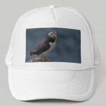 Watching Puffin Hat