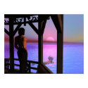 Watching The Sunset posters