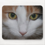 Watching you mouse mats
