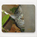 Watching Your Mouse 
mousepad