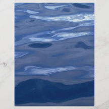 water010 custom flyer