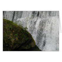 Water and Earth Card